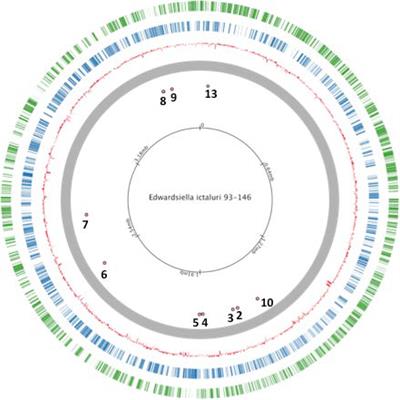 Universal Stress Proteins Contribute Edwardsiella ictaluri Virulence in Catfish